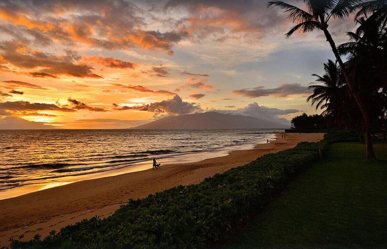 Apartmán Tropical Maui Kamaole B-Bldg Wailea  Exteriér fotografie